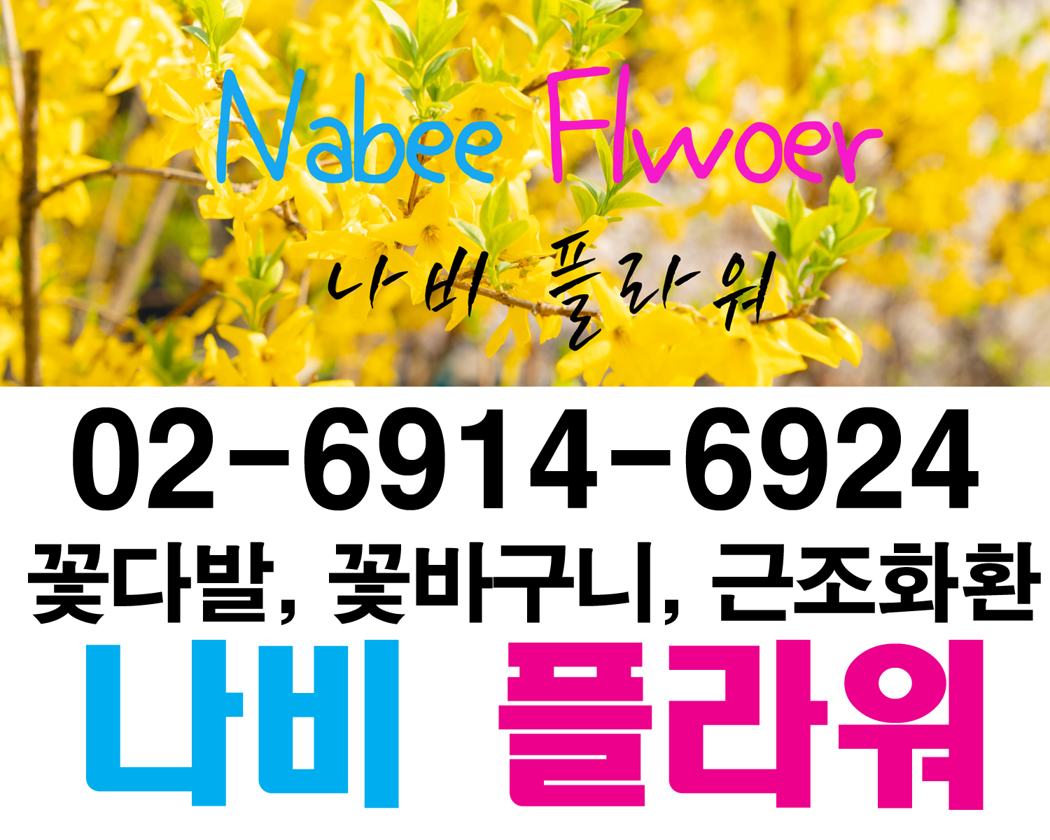 배너